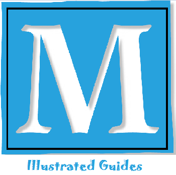 Illustrated Guides to child's learning